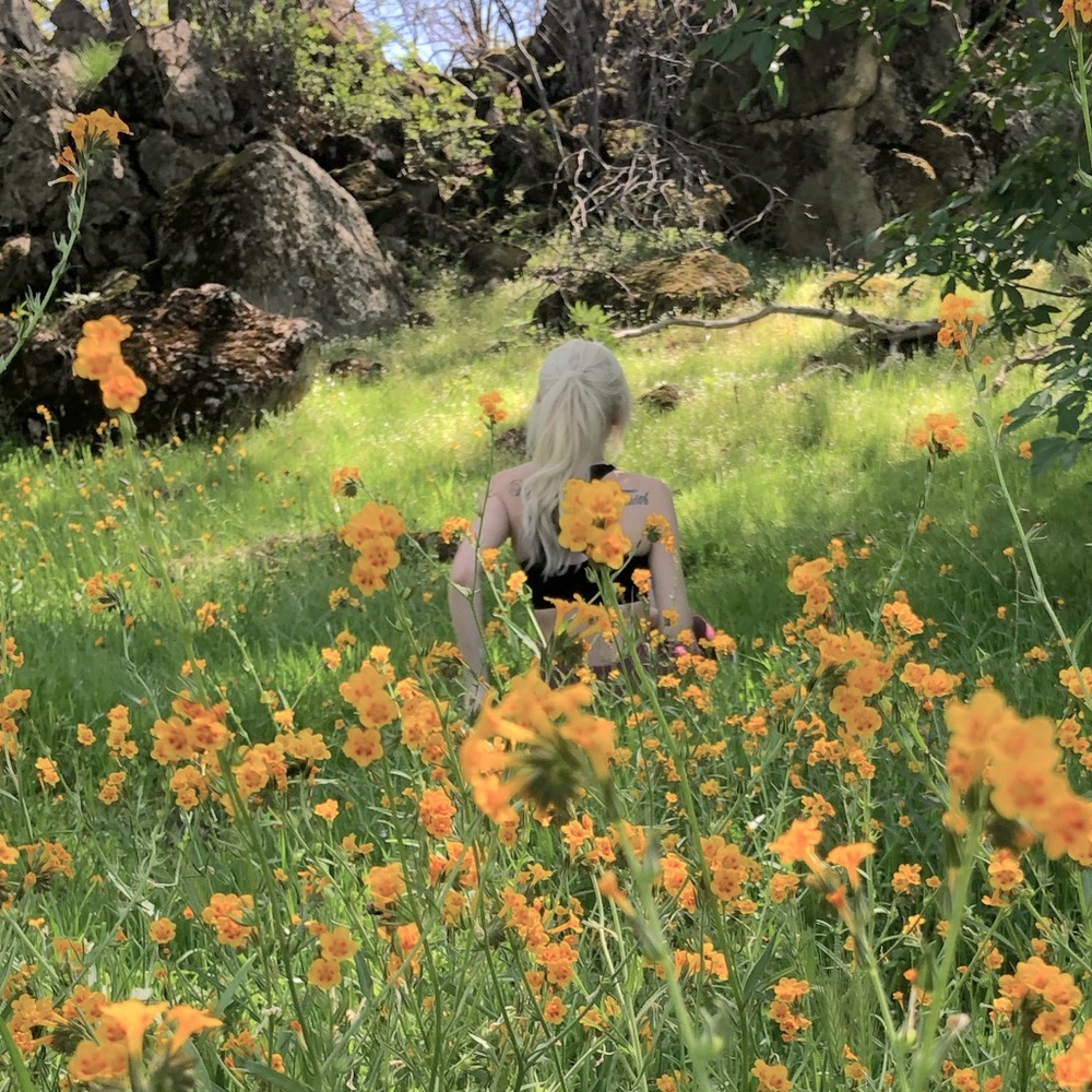 Meet your Posher, Kelsie